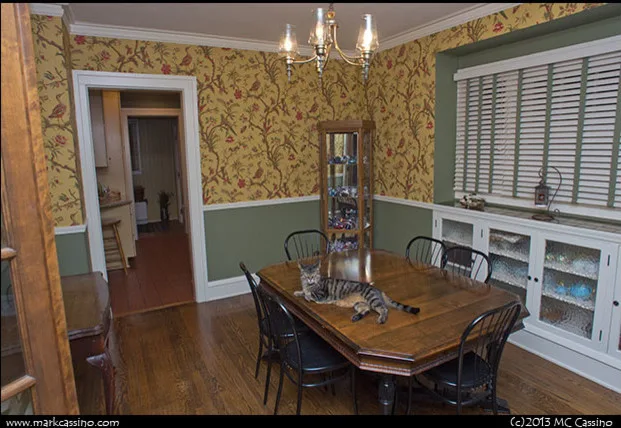 Premier Building & Remodeling - Photo 7