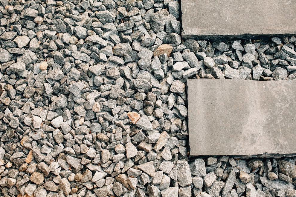 Modern Landscape Design by Freemans Landscape - Photo 6