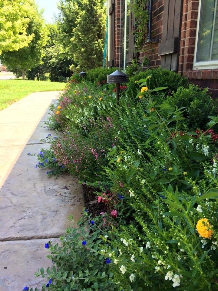 Landscaping by Freemans Landscape - Photo 12