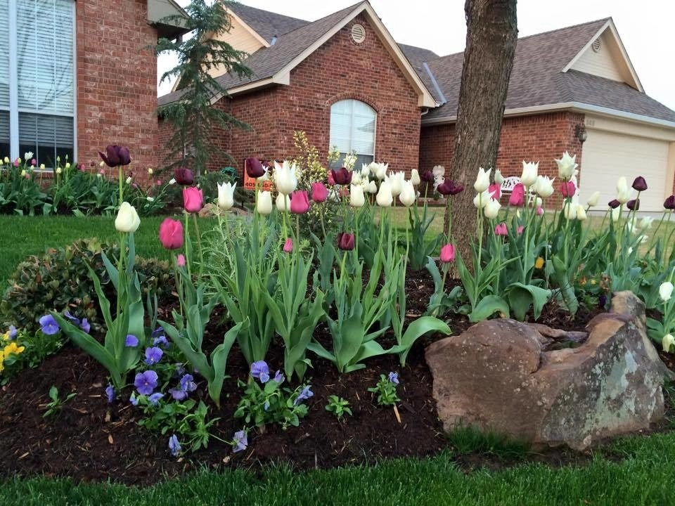 Landscaping by Freemans Landscape - Photo 7