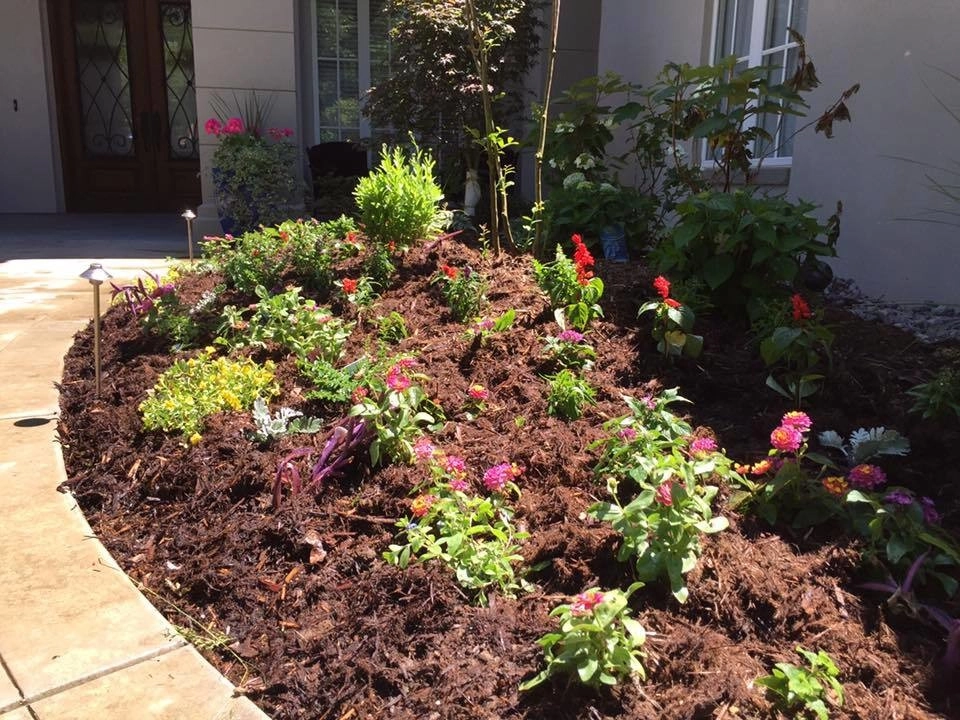 Landscaping by Freemans Landscape - Photo 14