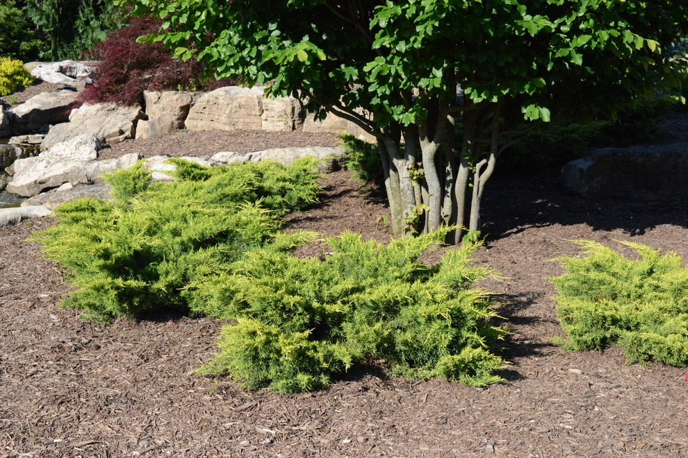 Color and Texture for Landscapes by Frisella Landscape Group - Photo 10