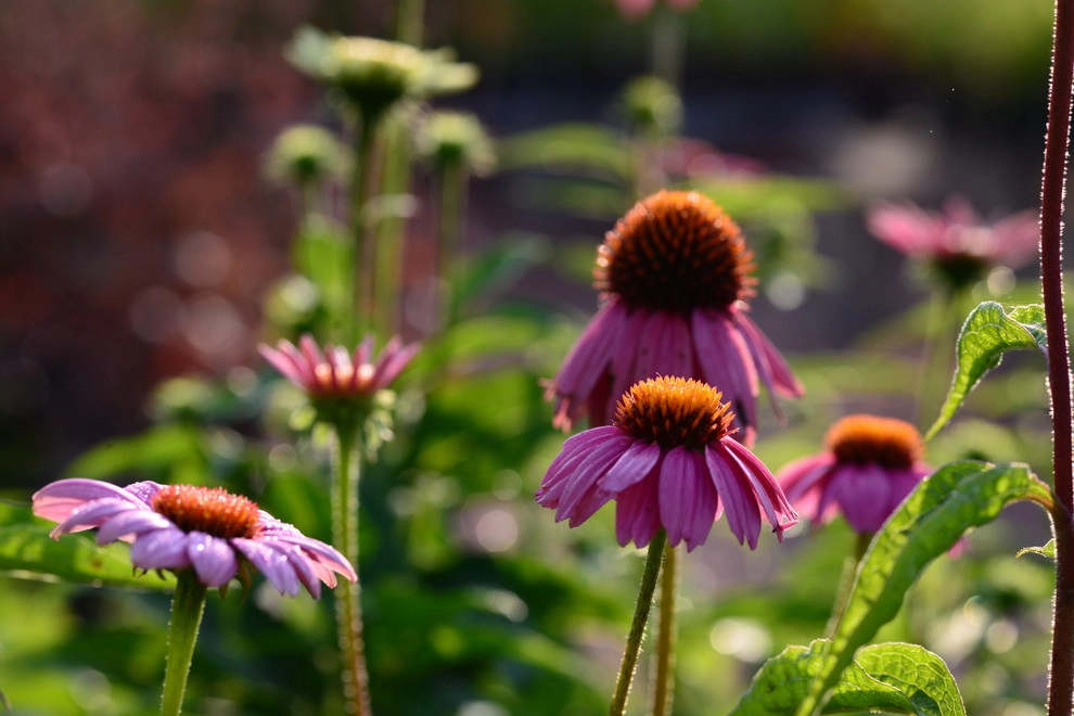 Color and Texture for Landscapes by Frisella Landscape Group - Photo 8