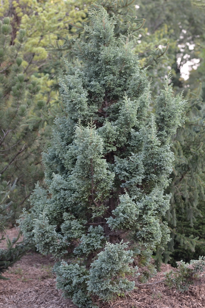 Color and Texture for Landscapes by Frisella Landscape Group - Photo 11