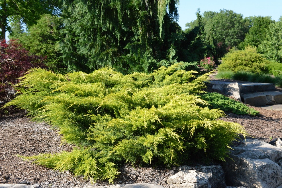 Color and Texture for Landscapes by Frisella Landscape Group - Photo 6