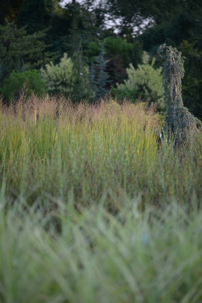 Color and Texture for Landscapes by Frisella Landscape Group - Photo 23