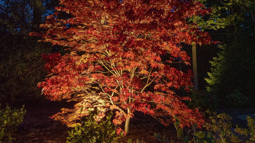 Huntleigh | Outdoor Art Gallery Landscape Design by Frisella Landscape Group - Photo 4