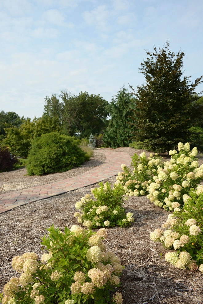 Defiance Landscape | Defiance, MO by Frisella Landscape Group - Photo 5