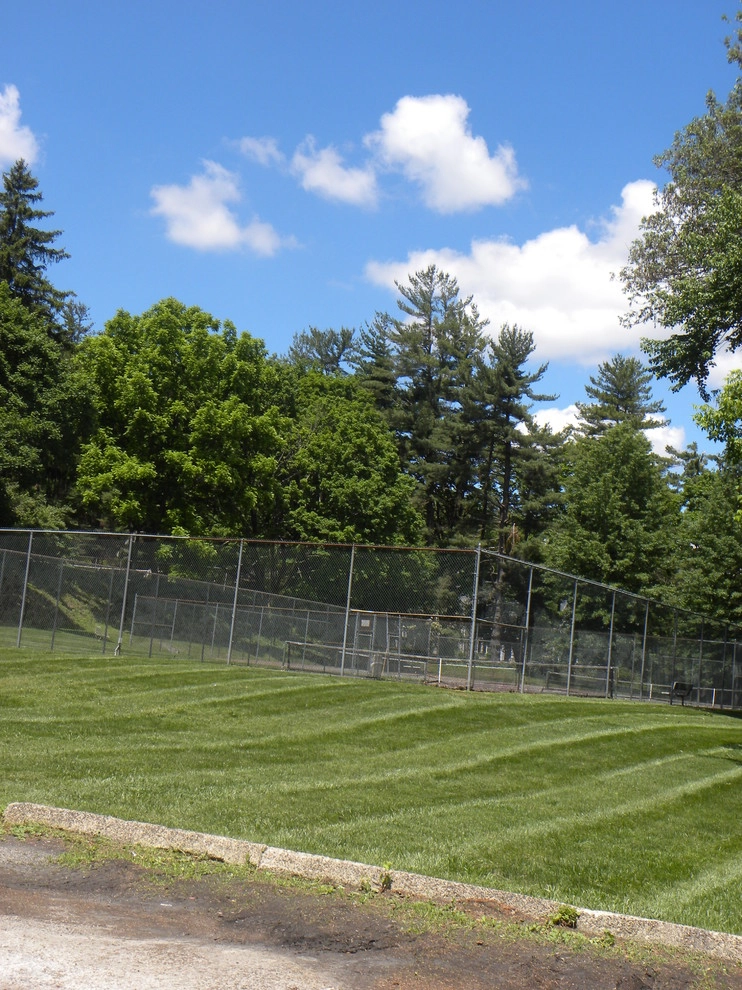 Landscaping by Froio's Lawn & Landscape - Photo 7