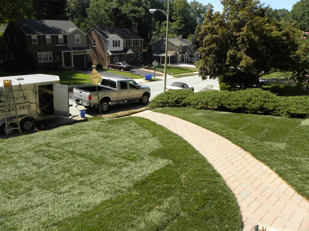 Froio's Lawn & Landscape - Photo 4