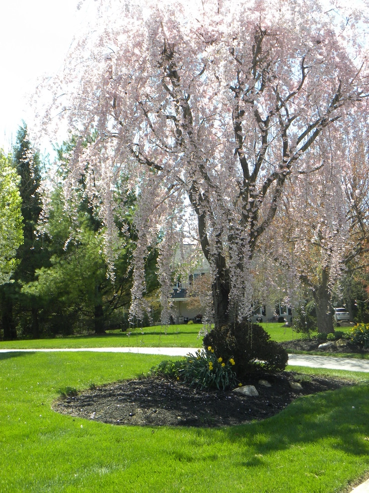 Froio's Lawn & Landscape - Photo 6