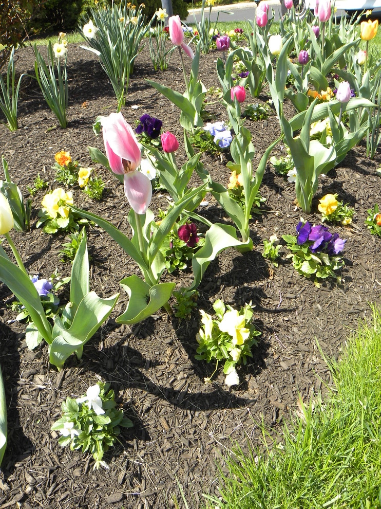 Landscaping by Froio's Lawn & Landscape - Photo 5