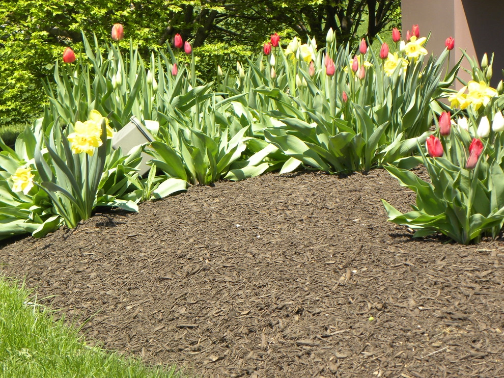 Landscaping by Froio's Lawn & Landscape - Photo 9