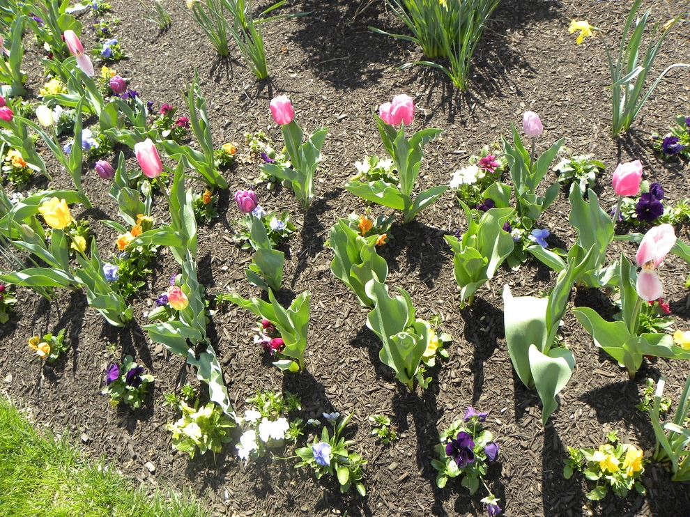 Landscaping by Froio's Lawn & Landscape - Photo 6