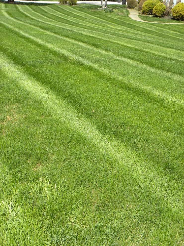 Froio's Lawn & Landscape - Photo 8