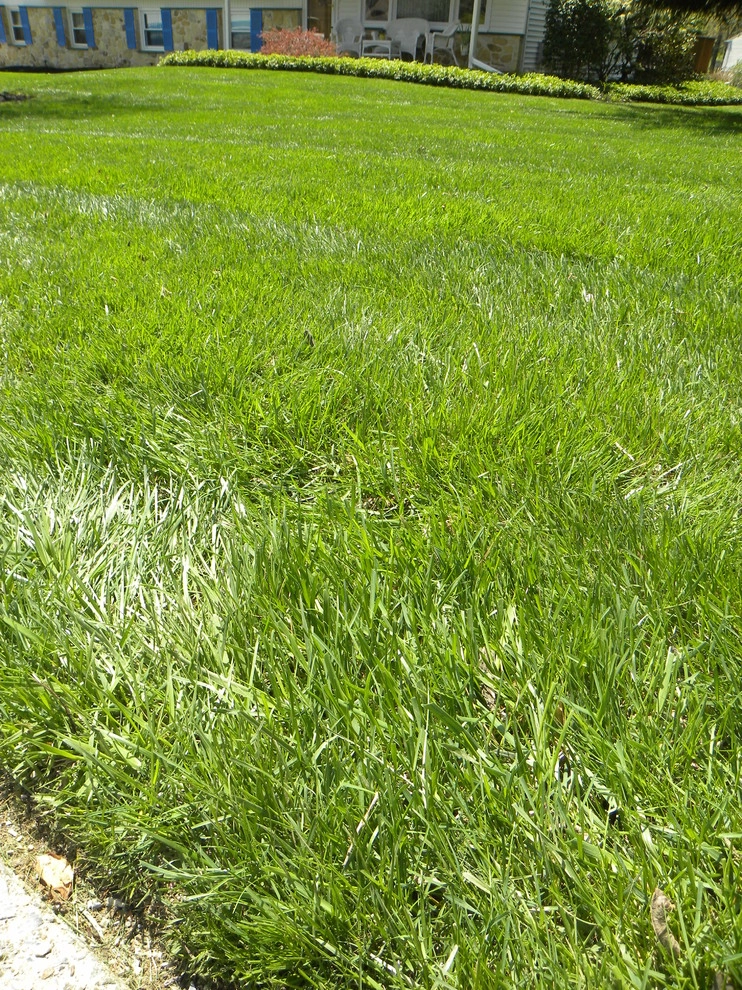 Landscaping by Froio's Lawn & Landscape - Photo 12
