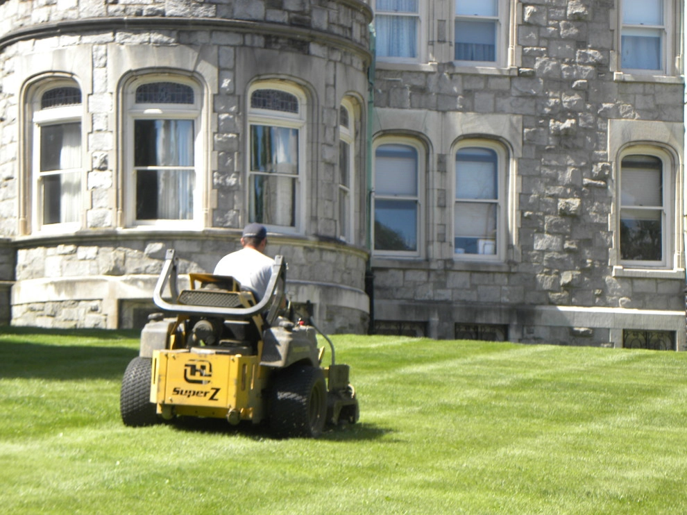 Froio's Lawn & Landscape - Photo 7