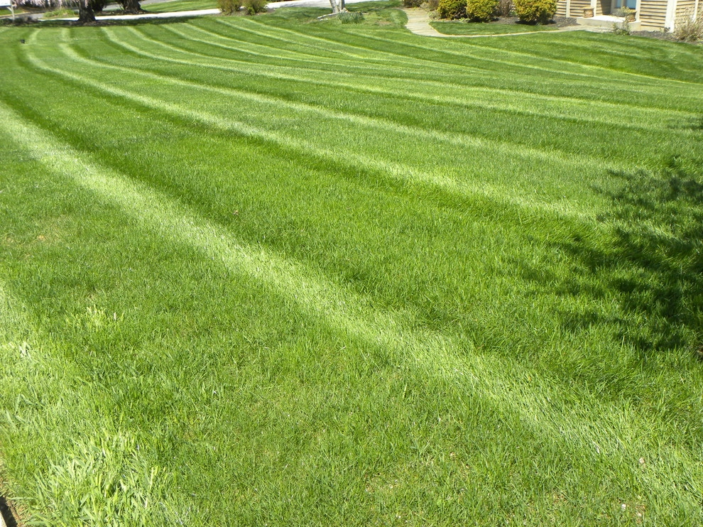 Landscaping by Froio's Lawn & Landscape - Photo 11
