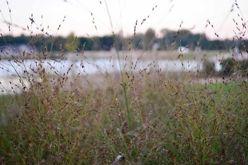 Lakeside Rustic Landscape by Breaking Ground - Photo 44