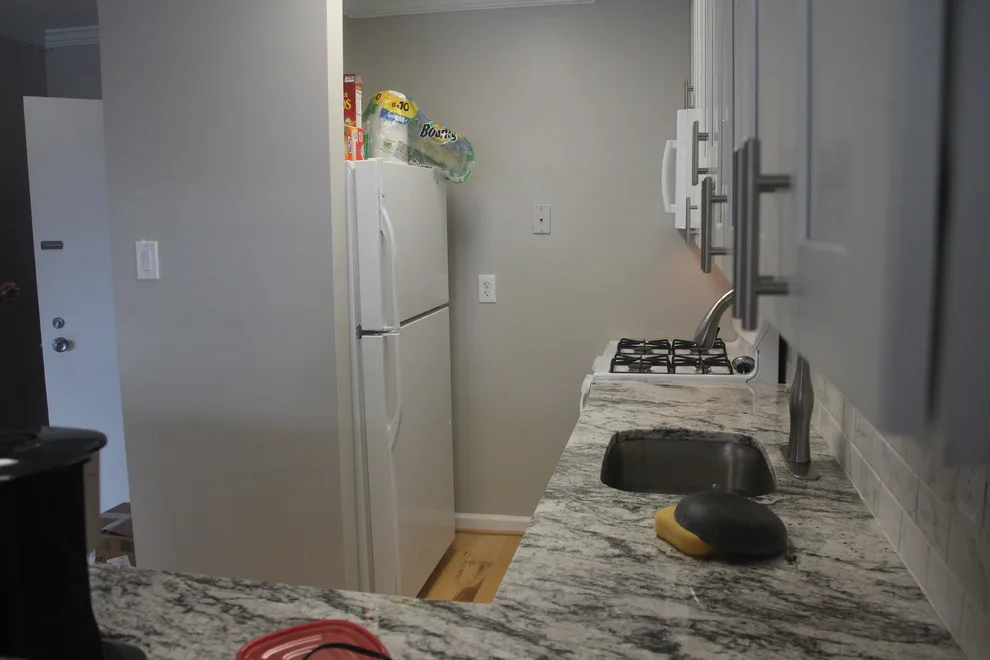 Washington, DC Open Concept Condominium by Two Brothers Handyman & Home Improvement Service - Photo 2