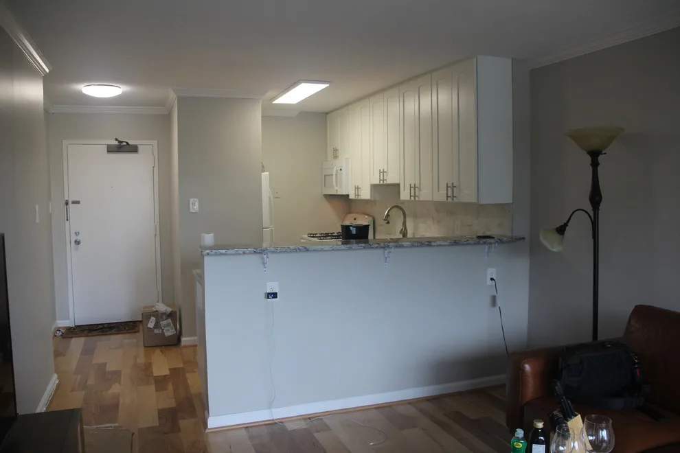 Washington, DC Open Concept Condominium by Two Brothers Handyman & Home Improvement Service - Photo 8