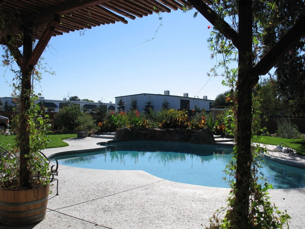 Pergola design & installation by Gaia Creations - Photo 3
