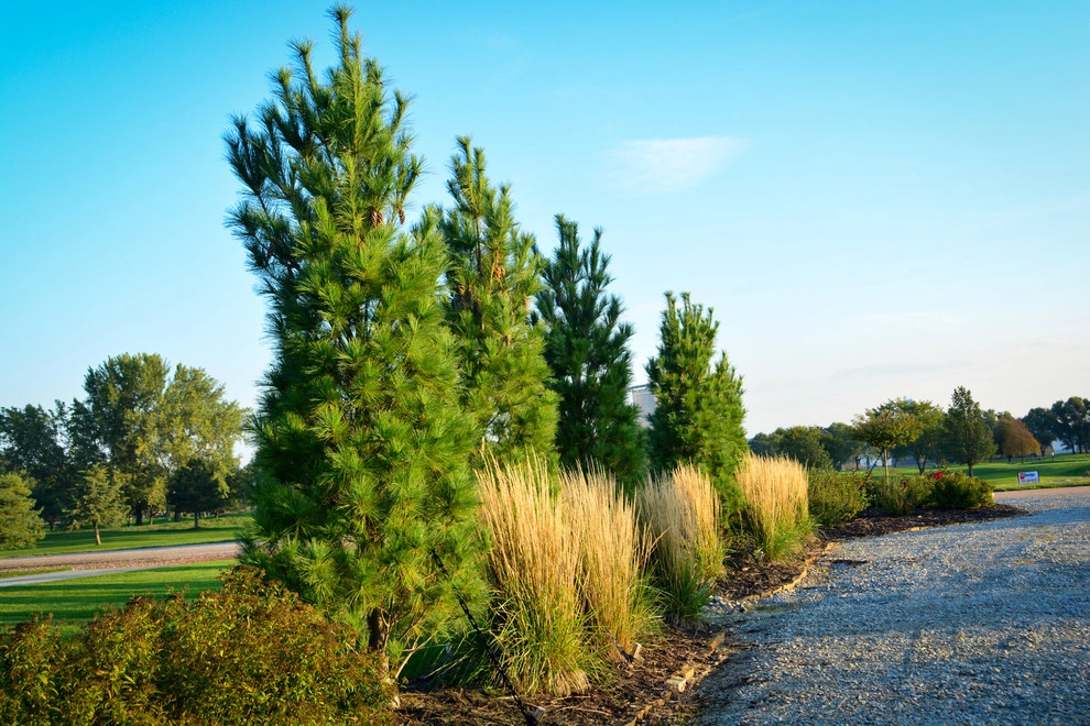 Lakeside Rustic Landscape by Breaking Ground - Photo 47