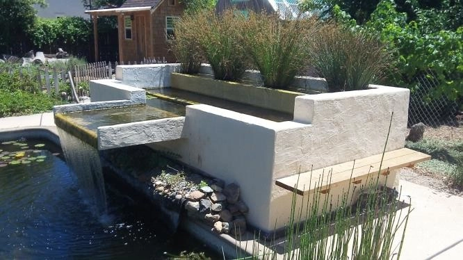 Swimming pool conversion to natural pond by Gaia Creations - Photo 17