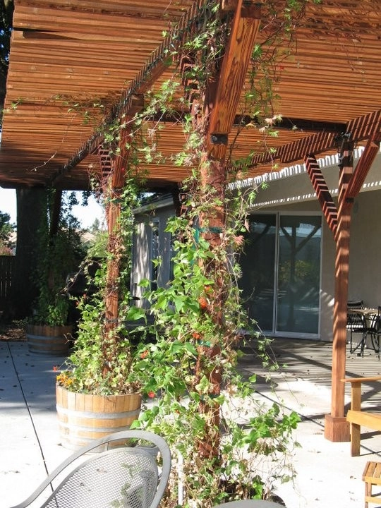 Pergola design & installation by Gaia Creations - Photo 6
