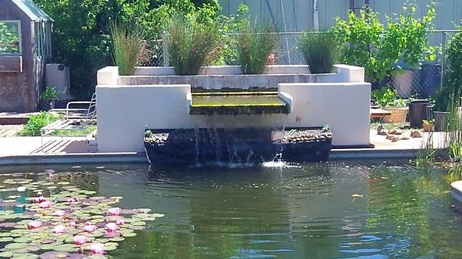 Swimming pool conversion to natural pond by Gaia Creations - Photo 5