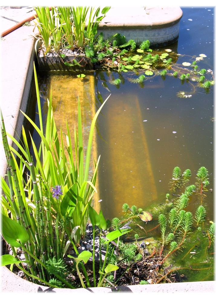 Gaia Creations - Photo 11