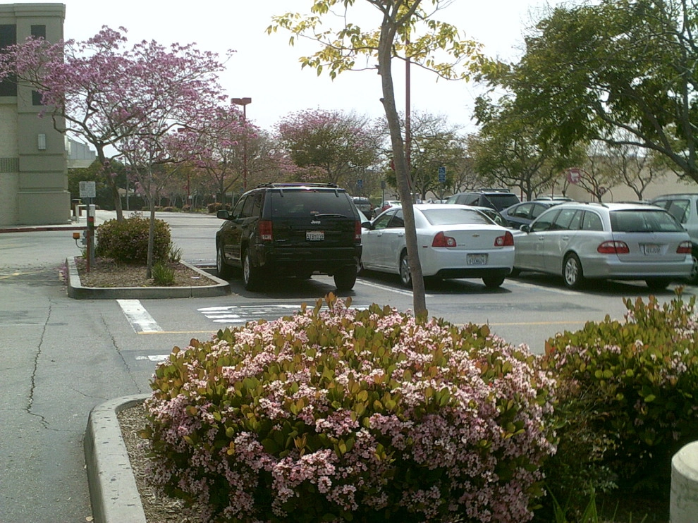 Commercial jobs by GALA Services Inc - Photo 17