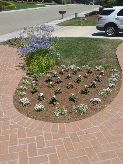 Front yard ideas by GALA Services Inc - Photo 13
