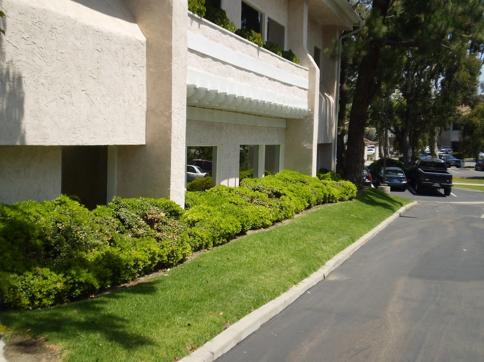 Commercial jobs by GALA Services Inc - Photo 12