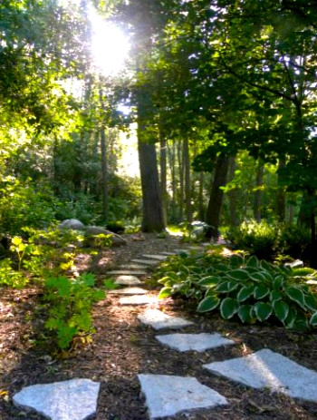 Pathway In The Woods by Ganshert Nursery & Landscapes - Photo 2