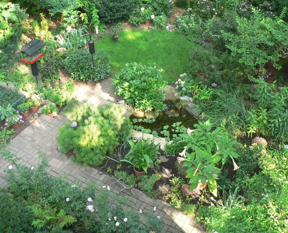 Backyard Pond by Ganshert Nursery & Landscapes - Photo 2