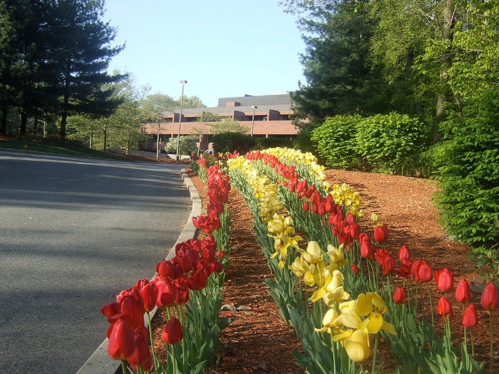 Landscape Maintainence by Garden City Landscape - Photo 3