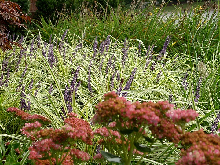 Garden City Landscape - Photo 4