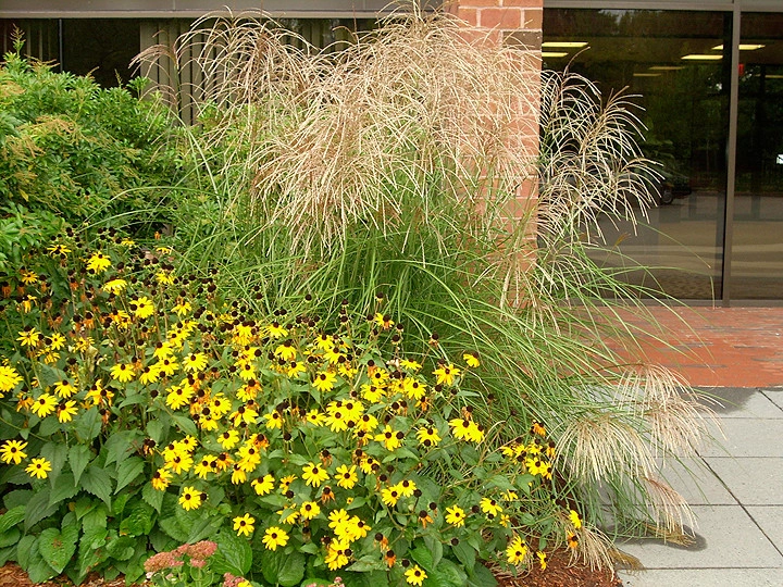 Garden City Landscape - Photo 11