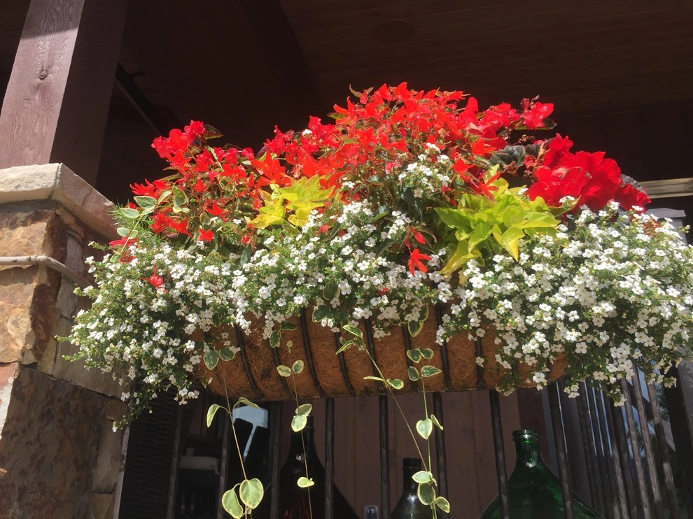 Window Boxes by Garden Creations, Inc. - Photo 3