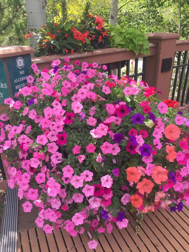 Garden Creations, Inc. - Photo 6