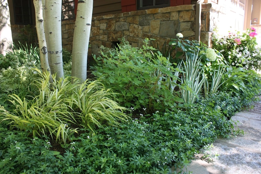 Gardening in the Shade by Garden Creations, Inc. - Photo 6