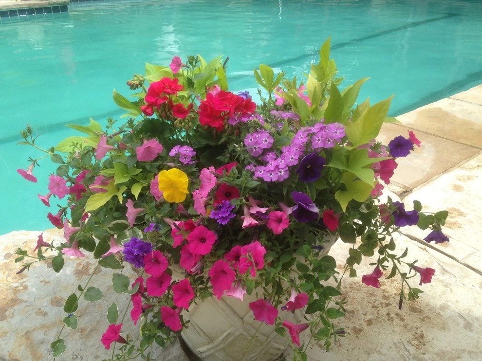 Container Gardens by Garden Creations, Inc. - Photo 3