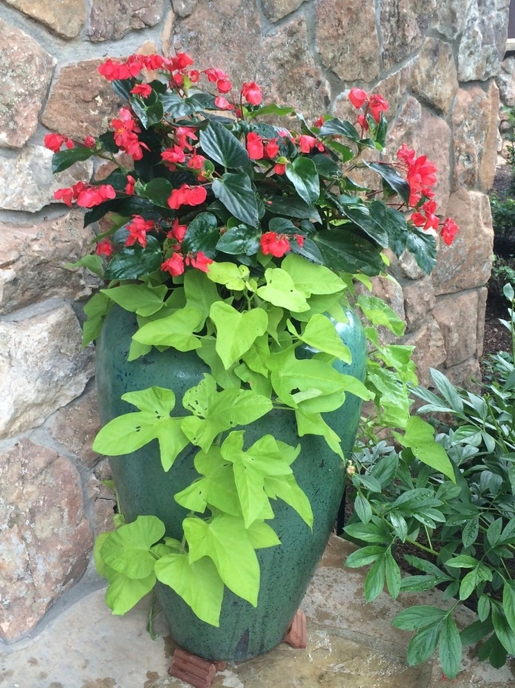 Gardening in the Shade by Garden Creations, Inc. - Photo 5