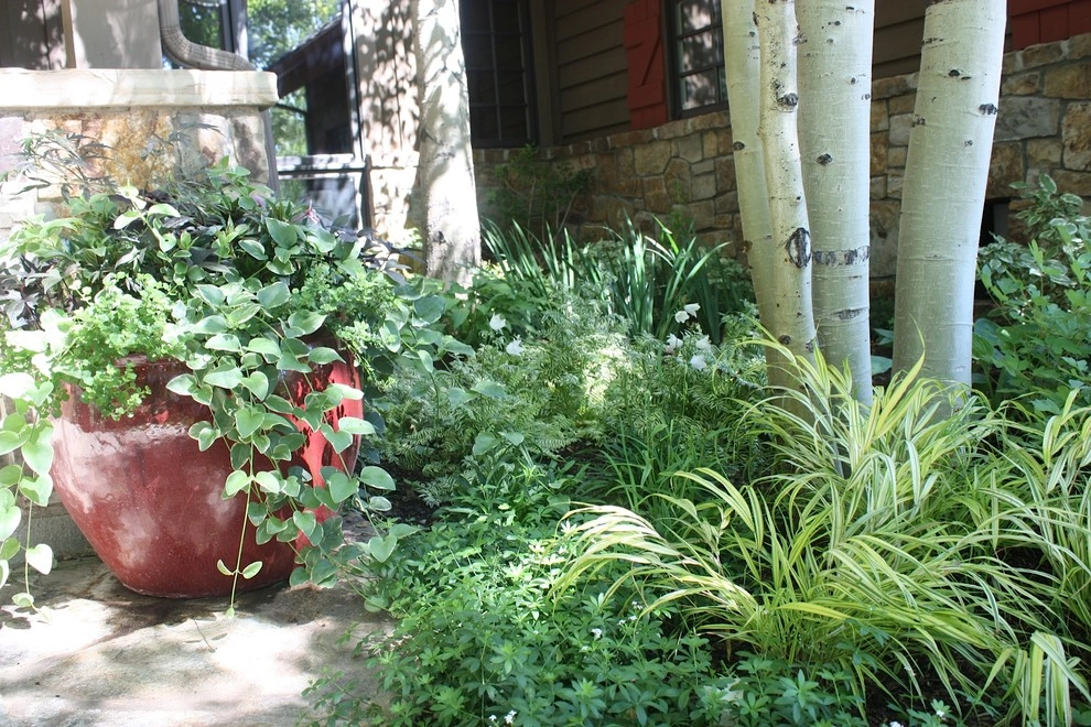 Gardening in the Shade by Garden Creations, Inc. - Photo 3