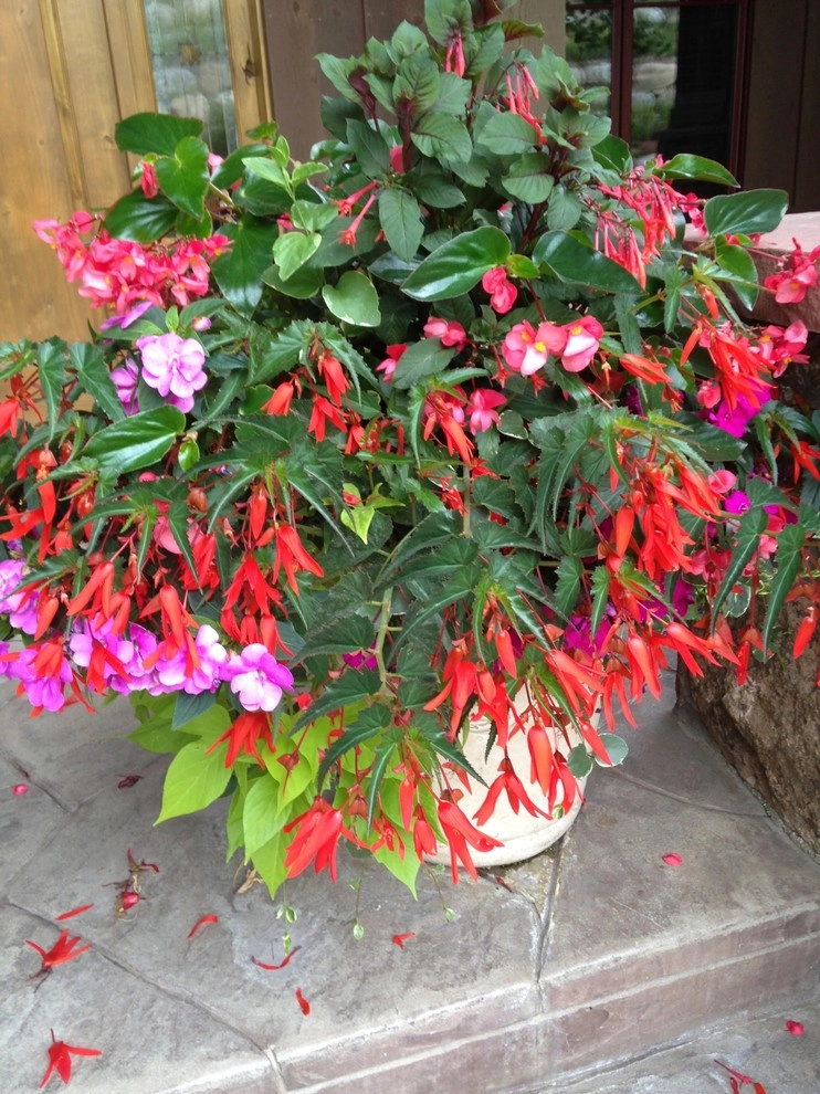 Gardening in the Shade by Garden Creations, Inc. - Photo 2