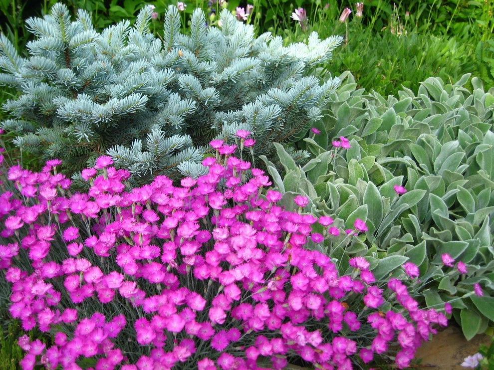 Garden Creations, Inc. - Photo 10