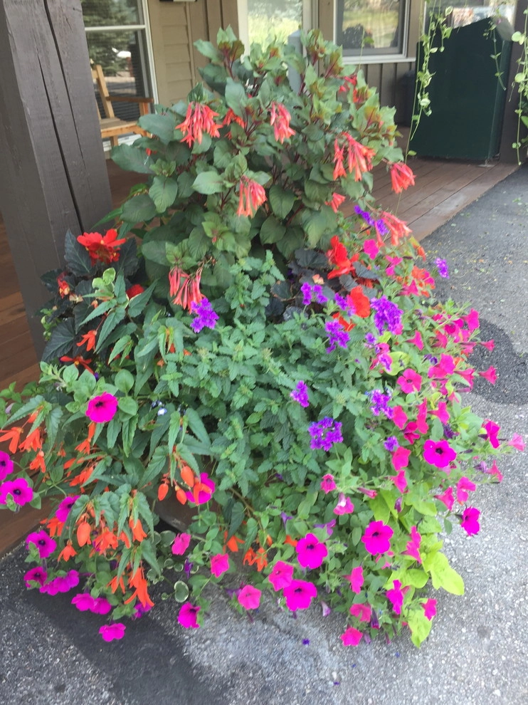 Container Gardens by Garden Creations, Inc. - Photo 6