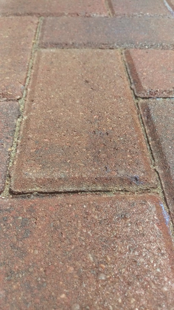 Sehnert's Back Patio Landscape and Driveway by Garden Of Eden Landscaping Services - Photo 18