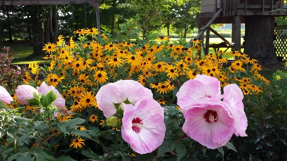 Owen's Backyard Paradise by Garden Of Eden Landscaping Services - Photo 6